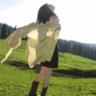 胖子行动队